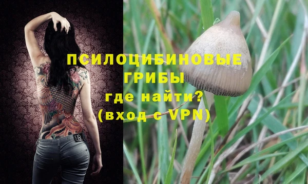 синтетический гашиш Нефтекумск