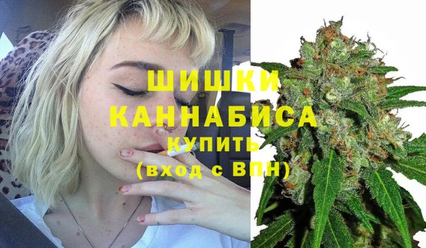 тгк Надым
